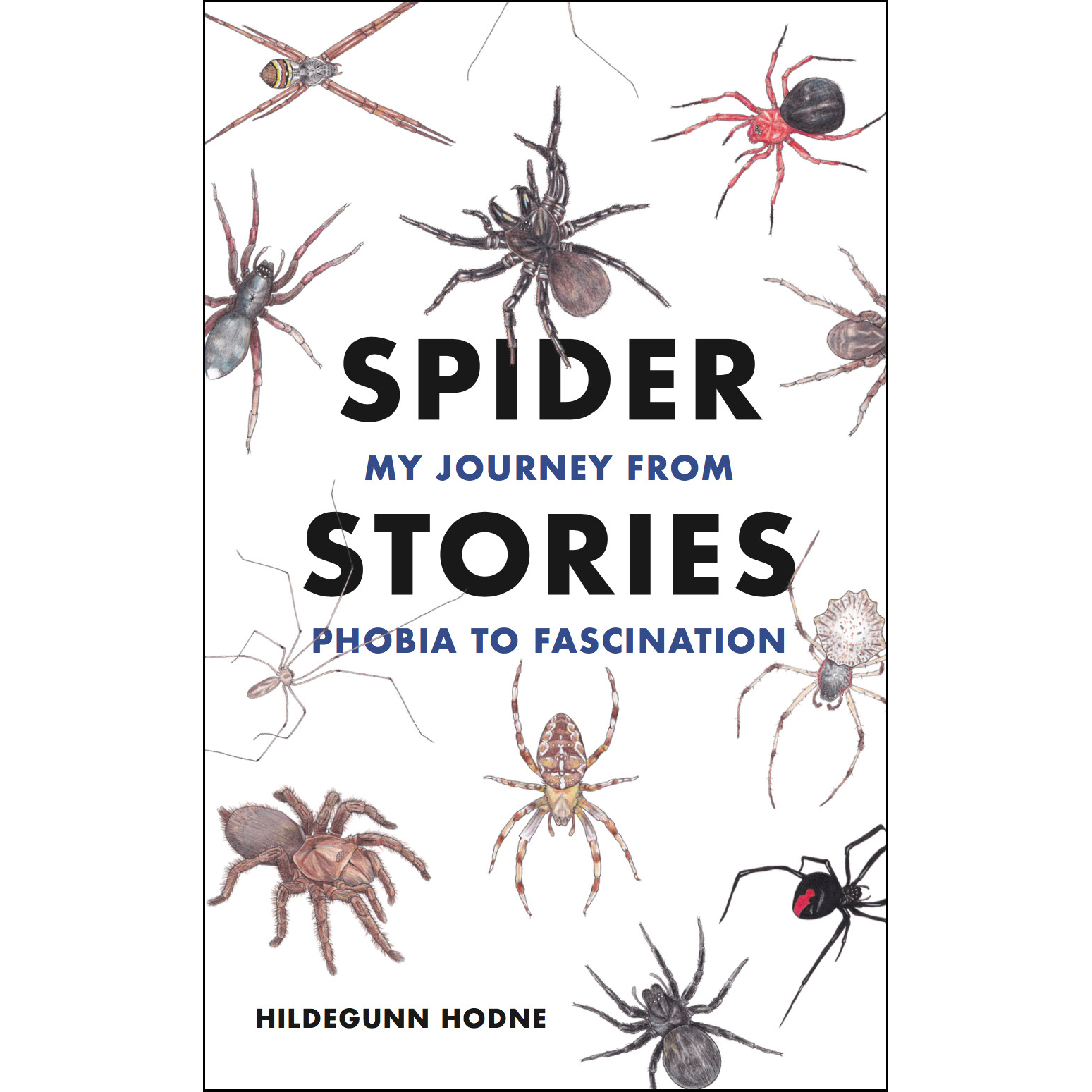 Spider Stories