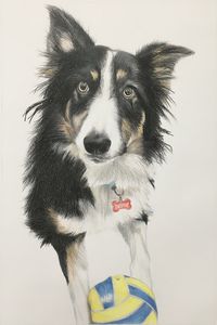 Dog Portrait 40x60cm of Destiny