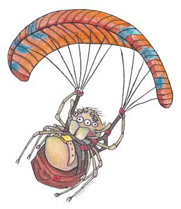 Spiderling ballooning